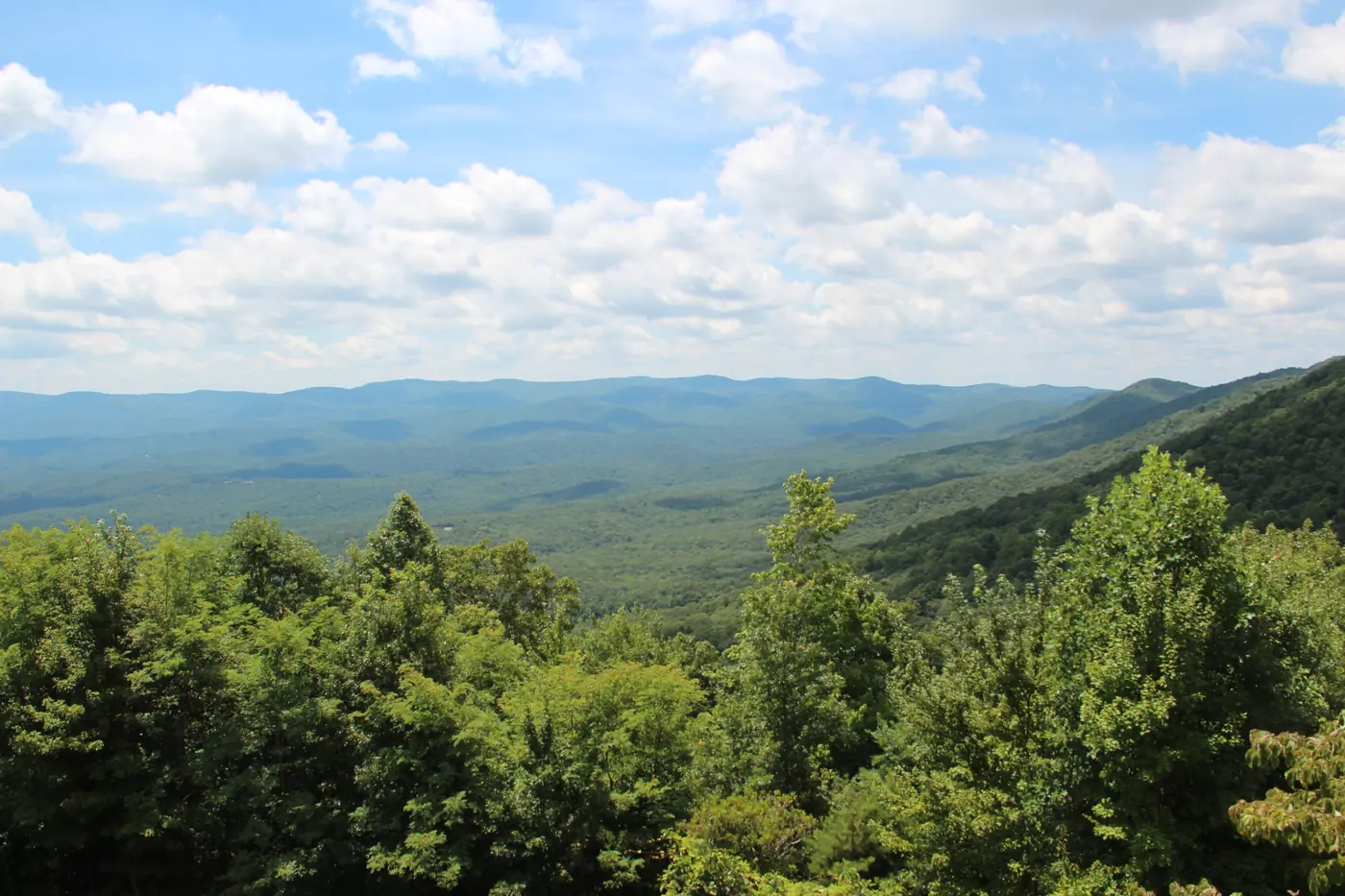 Rolling forested foothills fading into blue ridgelines under white summer clouds, seen over green treetops