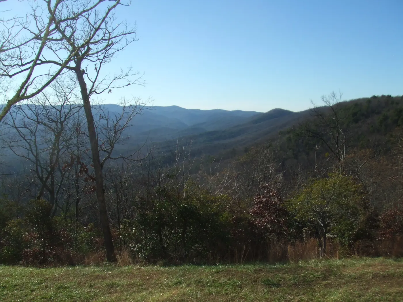 Leaf-off blue ridges folding into a valley beyond bare trees and brown scrub, under a clear pale sky