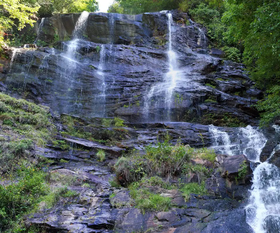 Thin ribbons of water running down a wide wall of dark layered rock with grasses and small yellow flowers on the ledges