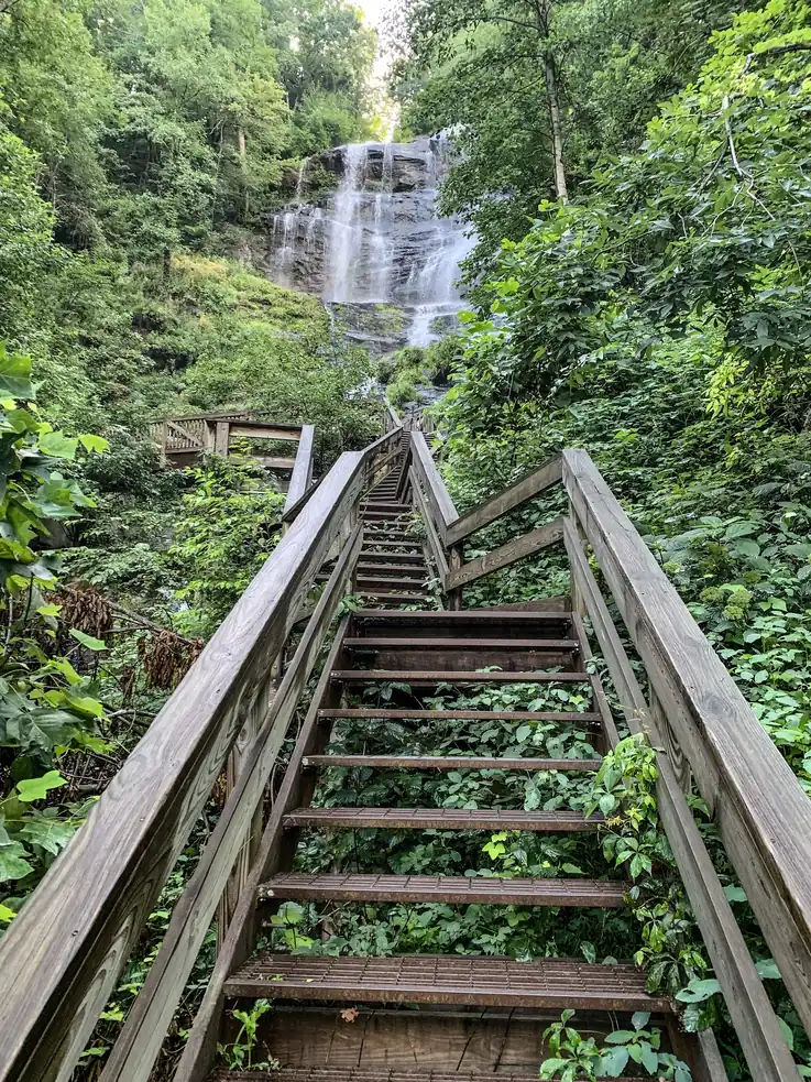 A long wooden staircase with timber handrails climbing through summer greenery toward a waterfall