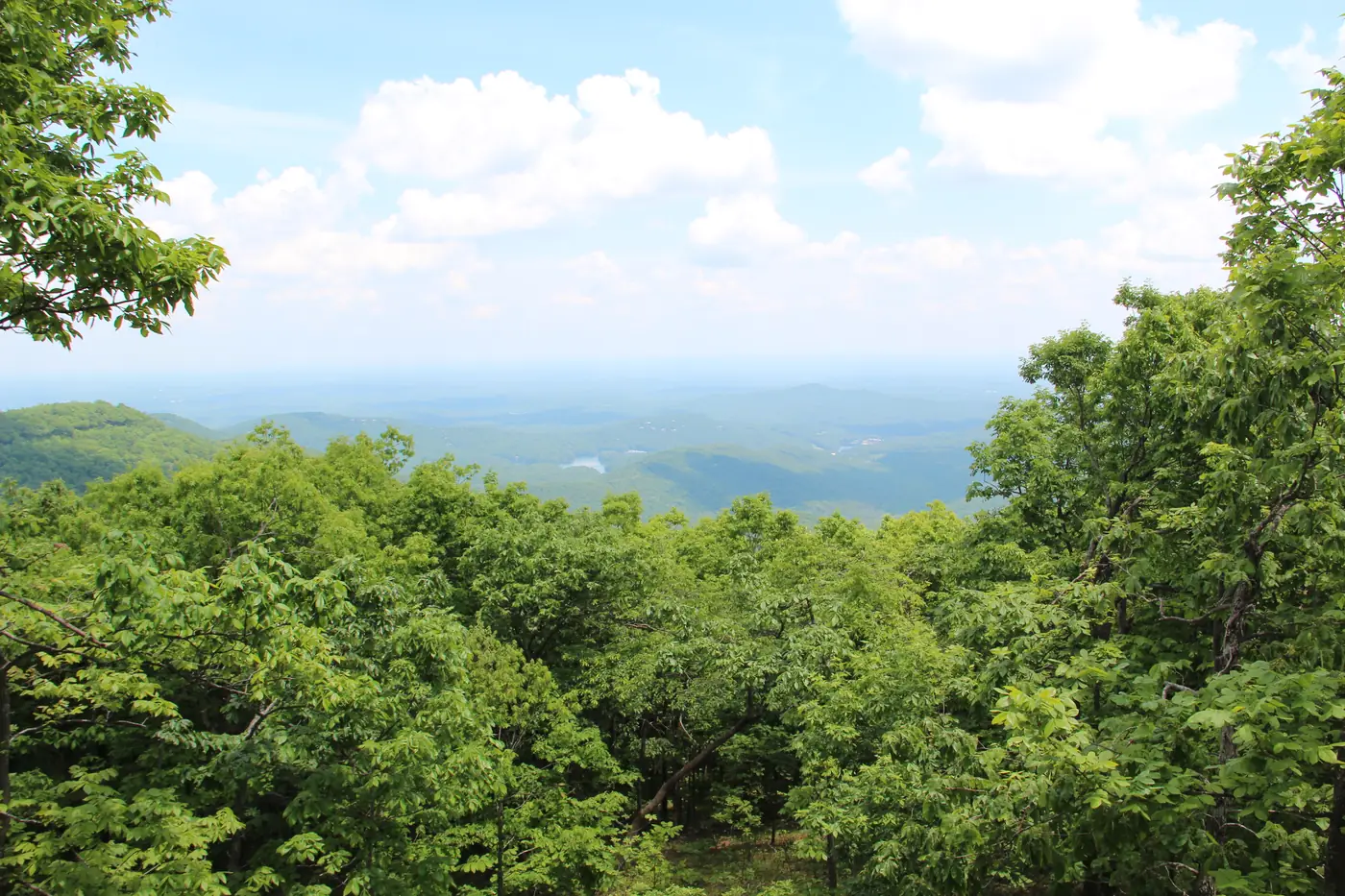 Rolling wooded ridges and valleys beyond a green canopy, with a small lake glinting in the middle distance