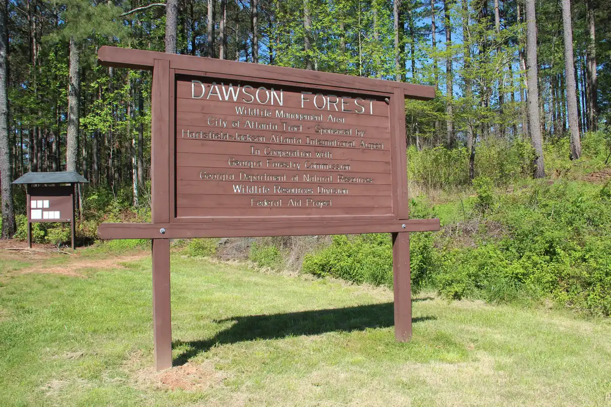 A large brown wooden sign reading Dawson Forest Wildlife Management Area, City of Atlanta Tract, in a sunny clearing among pines