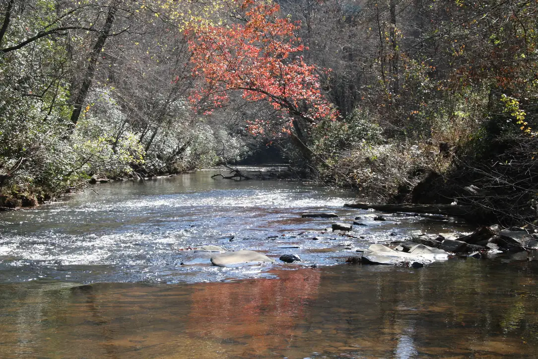 A broad shallow river riffling over grey rocks, with a red-orange autumn tree reflected in the calm water