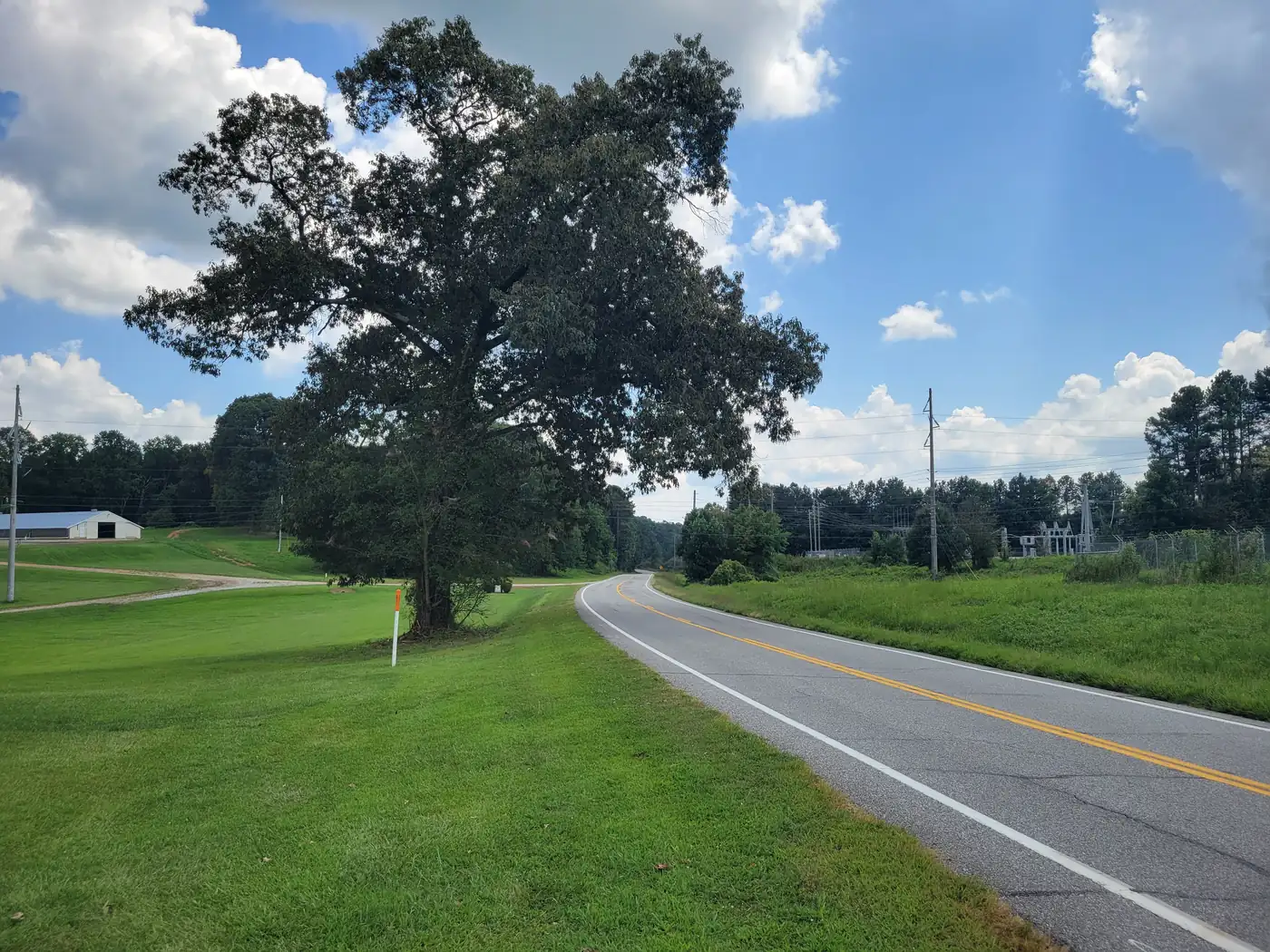 A two-lane country highway curving past a broad mown pasture with a single large oak under white clouds