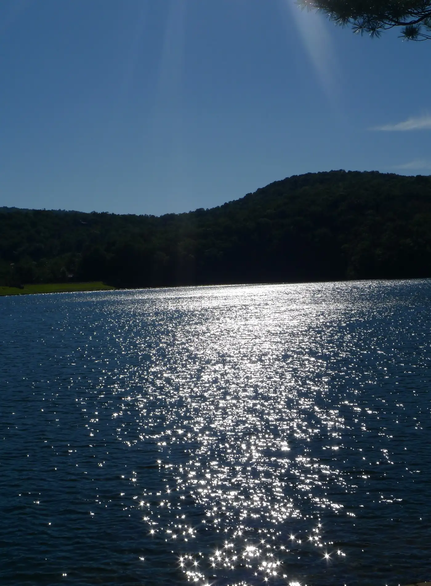 A path of sun glitter across dark blue water toward a forested hill