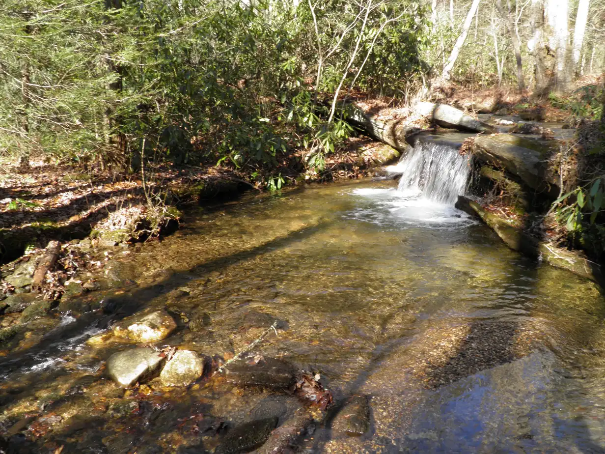 A small waterfall pouring over a rock ledge into a clear sandy pool lined with rhododendron