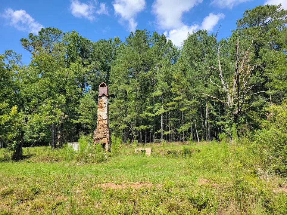 A lone tall fieldstone chimney standing in an overgrown meadow in front of tall pines